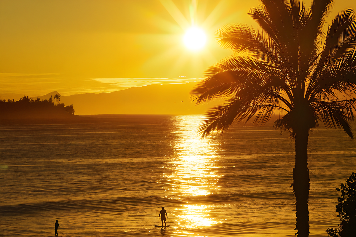 שקיעה על הים עם דקל ואיש גולש